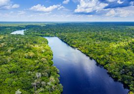 Самовідновлення
